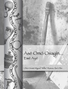 Bookcover Osayin front